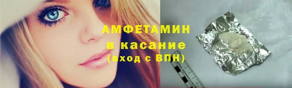 индика Михайлов