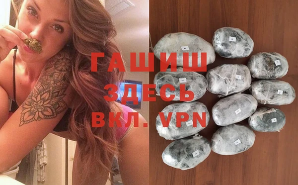индика Михайлов