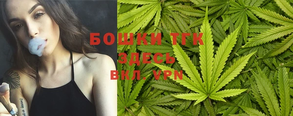 гашик Алапаевск