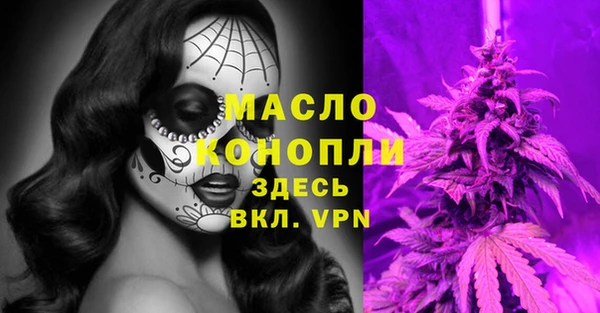 индика Михайлов