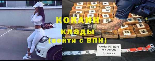 индика Михайлов