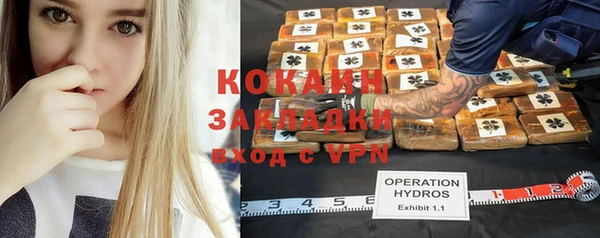 индика Михайлов