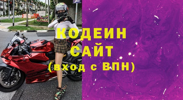 гашик Алапаевск