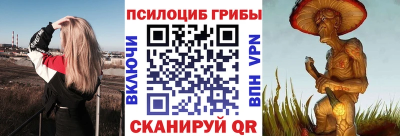Псилоцибиновые грибы Cubensis Шарья